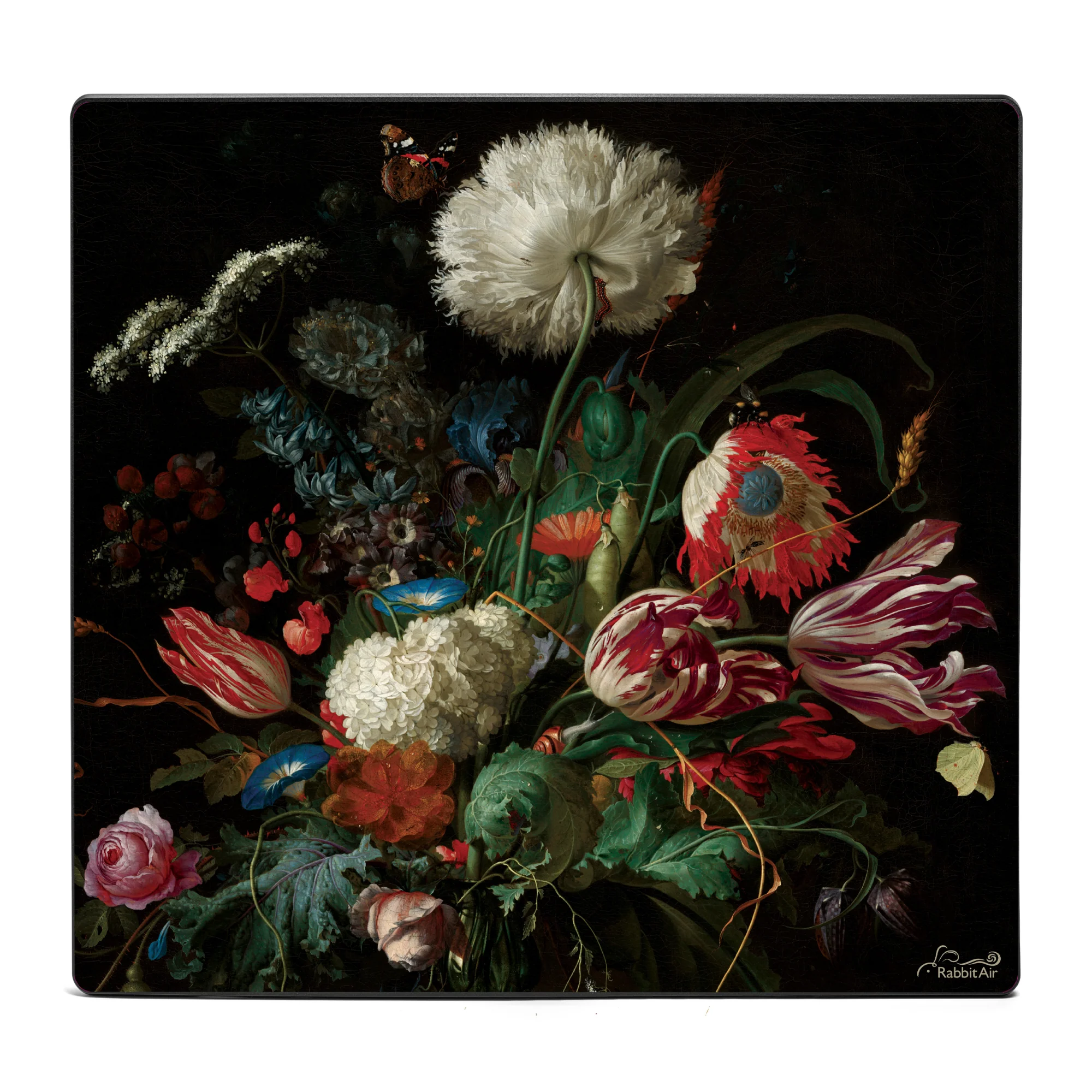 A3 Artists Series Front Panel - Image 3